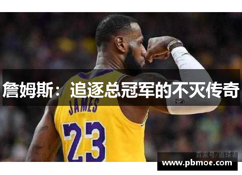 詹姆斯：追逐总冠军的不灭传奇